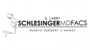 Dr. S. Larry Schlesinger